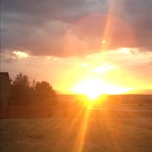 Meet your Posher, Annette